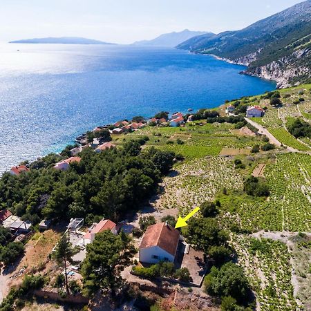 Holiday Home Blue Vineyard Potomje Dış mekan fotoğraf